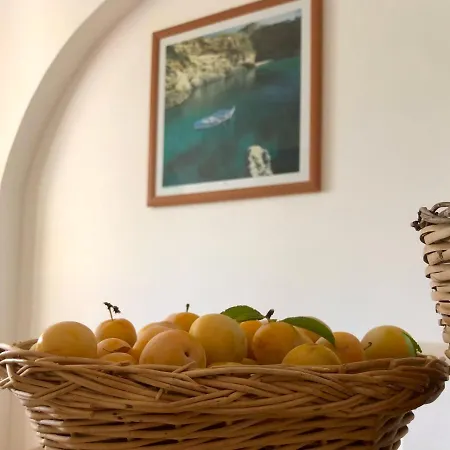 Casale Calavita Alloggio per agriturismo